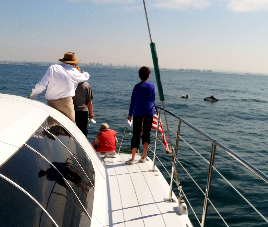 a family watches dolphins swim boat