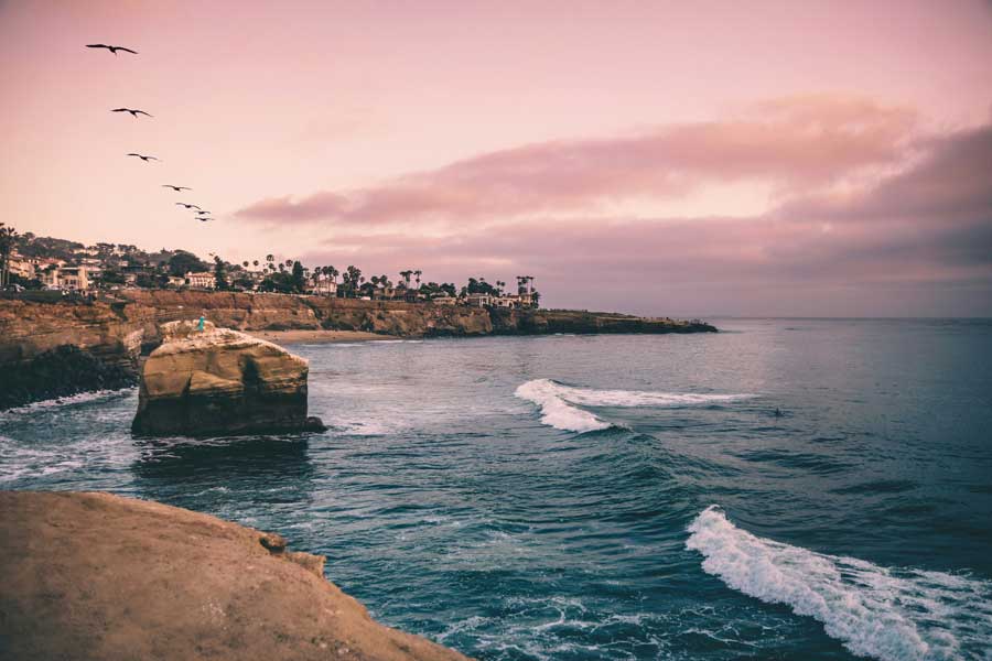 what you will see on the coast of point loma