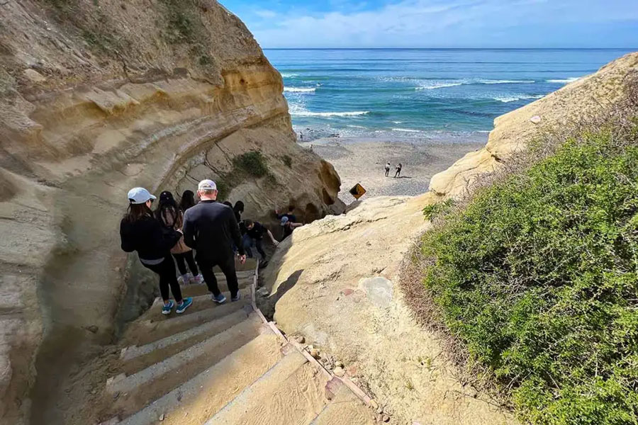 Torrey Pines State Natural Reserve stairs trail beach holiday idea san diego